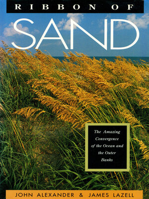 cover image of Ribbon of Sand